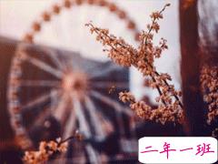 最虐心最催泪的句子 看了忍不住心疼的伤感句子