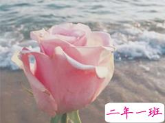 心在隐隐作痛的说说心情 心累难受的句子大全