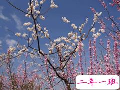 2021关于春天发朋友圈唯美文案 描写春天的优美句子