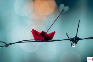 下雨天感慨说说伤感句子 心情就像下雨天的说说