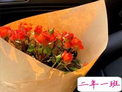 很可爱的有仙气的八字微信状态文案 简单干净小清新微信状态句子