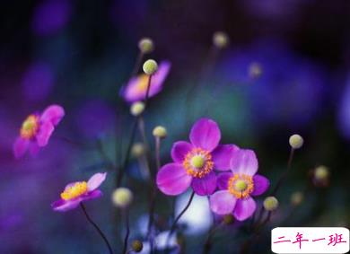 放弃爱情放弃你的伤感句子 对爱情很无奈的说说1