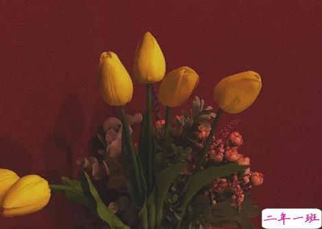 惊艳时光从容岁月的优美句子 越看越喜欢的优雅句子1