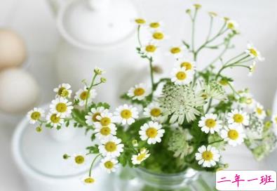 放弃爱情放弃你的伤感句子 对爱情很无奈的说说2