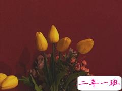 惊艳时光从容岁月的优美句子 越看越喜欢的优雅句子