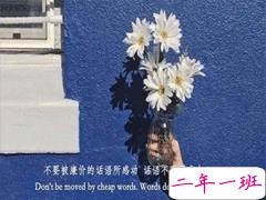 冬季发朋友圈的精美句子 一发就会秒赞的句子