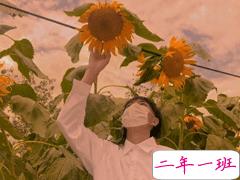 抖音一些和少年有关的文案 关于少年的惊艳时光的文案