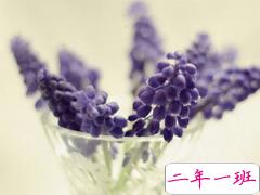 心里有事失眠的说说2019最新 失眠夜述说心事的伤感句子