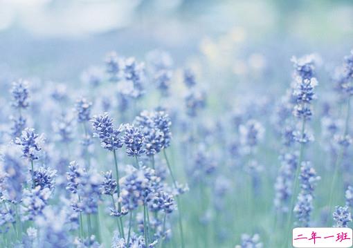 2019最新文艺又悲伤句子说说 有意境文艺范的伤感句子2