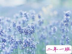 2019最新文艺又悲伤句子说说 有意境文艺范的伤感句子