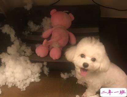 吴青峰绝美歌词干净舒心文案 超级舒心温柔的文案2