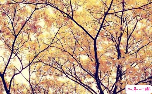 从来没为自己活过是什么感受 表示很心累的心酸句子1