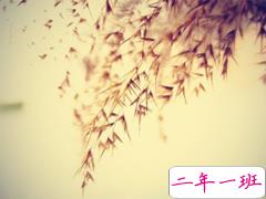 从来没为自己活过是什么感受 表示很心累的心酸句子