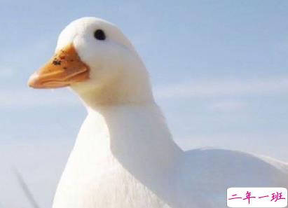 2020早安暖心正能量语录 2020年只剩70天1