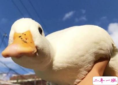 2020早安暖心正能量语录 2020年只剩70天2