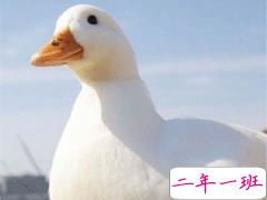 2020早安暖心正能量语录 2020年只剩70天