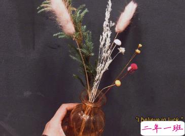 最新收集的四季文艺句子 人生一世草生一春2