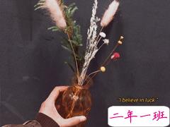 最新收集的四季文艺句子 人生一世草生一春