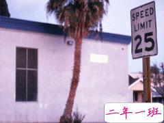 2021热评区的温柔文案 收藏在备忘录里的文案