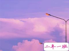 一波极具温柔的文案句子 野鹤奔向闲云我步入你