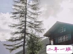 小众且唯美的诗句说说 一身孤注掷温柔