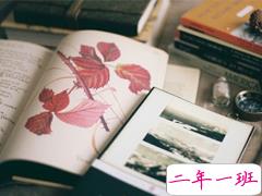 爱情让我成长的伤感说说2019精选 有些人注定是你生命中的过客说说