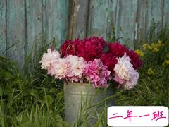 让你过目不忘的八字句子 布衣饭菜可乐终身