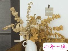 让你一眼就能爱上的句子 江月何曾皱眉