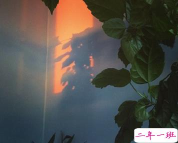 30句总能惊艳到你的句子 从人群中仓皇逃走1