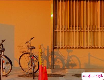 网易云中温柔且干净的句子 我对你的喜欢是一种温柔的坠落1