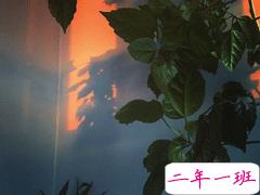 30句总能惊艳到你的句子 从人群中仓皇逃走