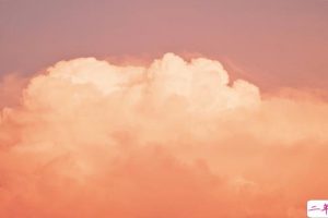 赋有诗意的文艺30条句子 坠欢莫拾酒痕在衣