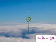 适合写明信片的小句子合集 生生灯火明暗无辄