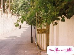 向来缘浅奈何情深的伤感句子 特别伤感的句子大全句句扎心