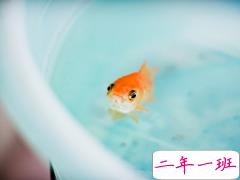 2018表达心情失落的伤感句子大全 痛到心碎的爱情伤感句子