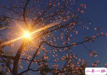 气质唯美适合各种心情的句子 一个人散步是和地球单独的约会2