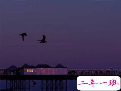 气质唯美适合各种心情的句子 一个人散步是和地球单独的约会