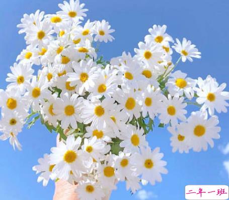 关于八月的文艺唯美句子 所有的小确幸在八月等我1