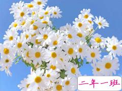 关于八月的文艺唯美句子 所有的小确幸在八月等我