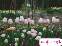 简短浪漫唯美句子 幸无所爱无畏山海