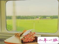 浪漫句子爱情唯美大全 浪漫美好的心情短语