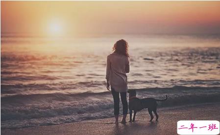 100句最伤感的爱情句子穿透人心 心碎到撕心裂肺的句子大全精选100条4