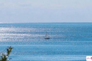 有关大海的朋友圈文案 海边说说唯美心情短句