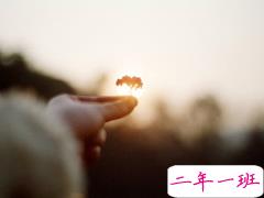 让对方读到就觉得心疼的伤感句子 一个人硬撑下去的伤感句子