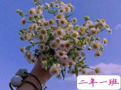 恋爱朋友圈文案 非常唯美好听的恋爱说说