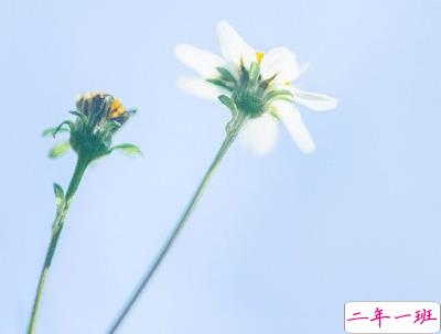 春暖花开的朋友圈说说 春天唯美说说短句1