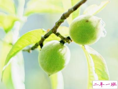 春暖花开的朋友圈说说 春天唯美说说短句2