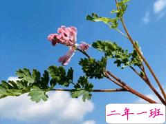 四月唯美简短心情说说 2020四月你好说说句子