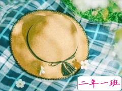 2020春天文案文艺小清新 阳光明媚的春天说说