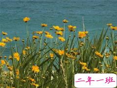 唯美文案简短温柔 唯美说说短句朋友圈